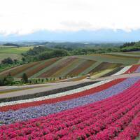 ぼっちトラベラー　ラベンダーを見に3泊4日の一人旅「転・結」編