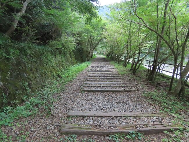 宝塚 福知山線廃線跡(Abandoned Fukuchiyama Line,Takarazuka,Hyogo,JP)