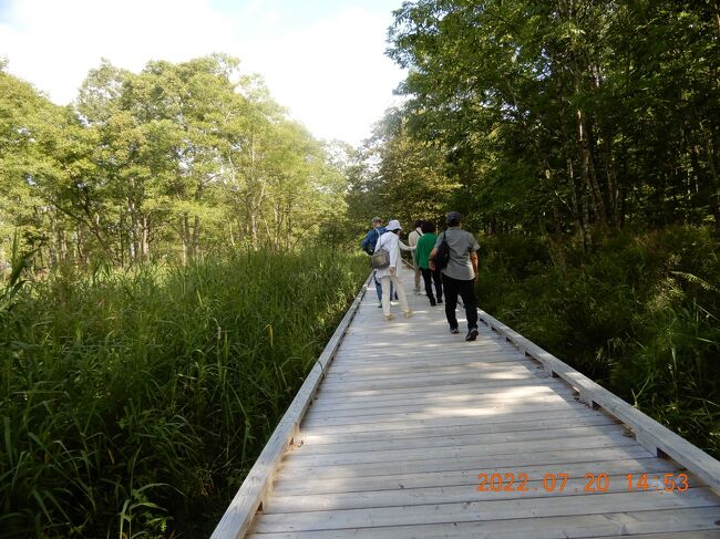 北海道一周二週間豪華バス｛菫（スミレ号)｝ツアーの旅　1４　釧路湿原（釧路国立公園）