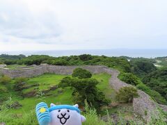【2022.7】沖縄に行ってきたにゃ！４日目（美ら海水族館、今帰仁城跡）