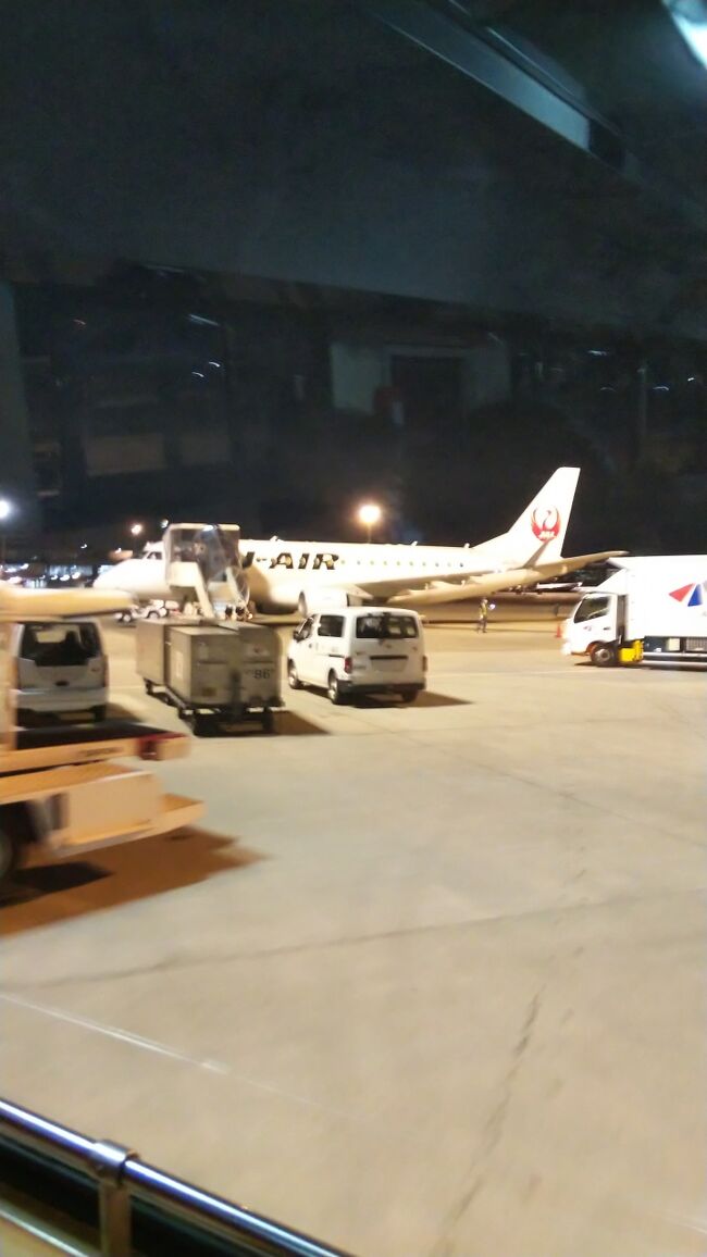 山形から、新潟空港へ向かいました。時間がタイトだったので新潟駅だけ観光に行くことにしました。駅前が工事中で少し残念でした。空港から大阪へ向かう飛行機では、久々の夜景を堪能することができました。