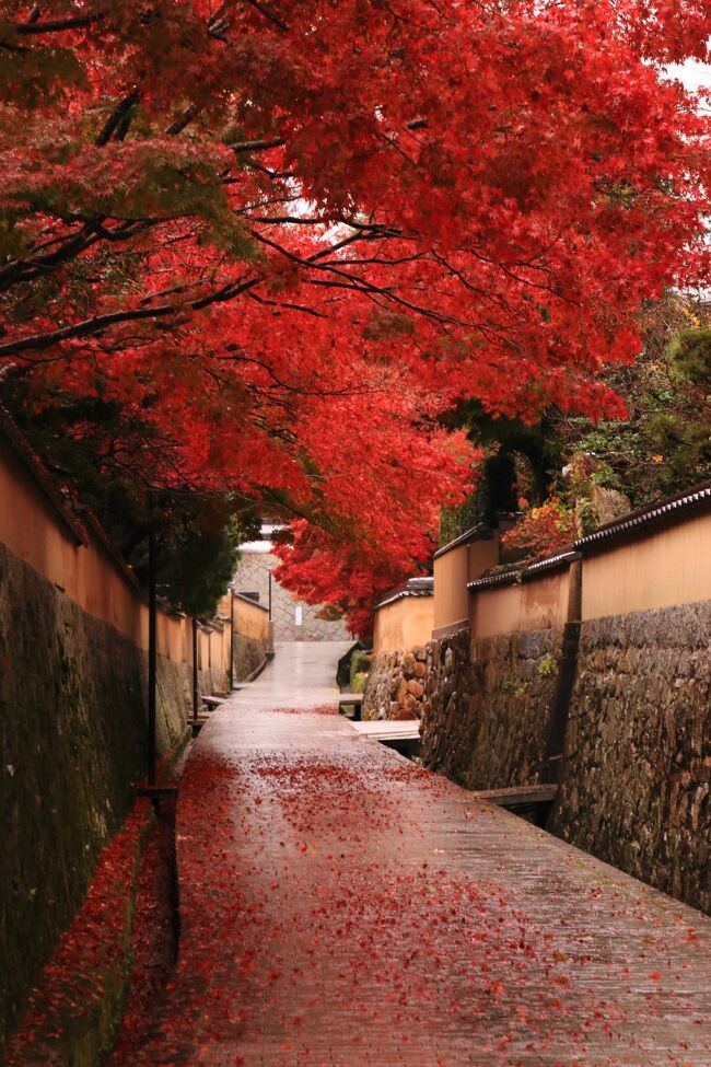 山口　紅葉めぐり～古江小路、覚苑寺、長府毛利邸、功山寺、長府庭園