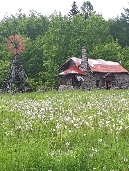 ③花旅？トマム・富良野・美瑛☆絶景の原風景と食を駆け込むのだ