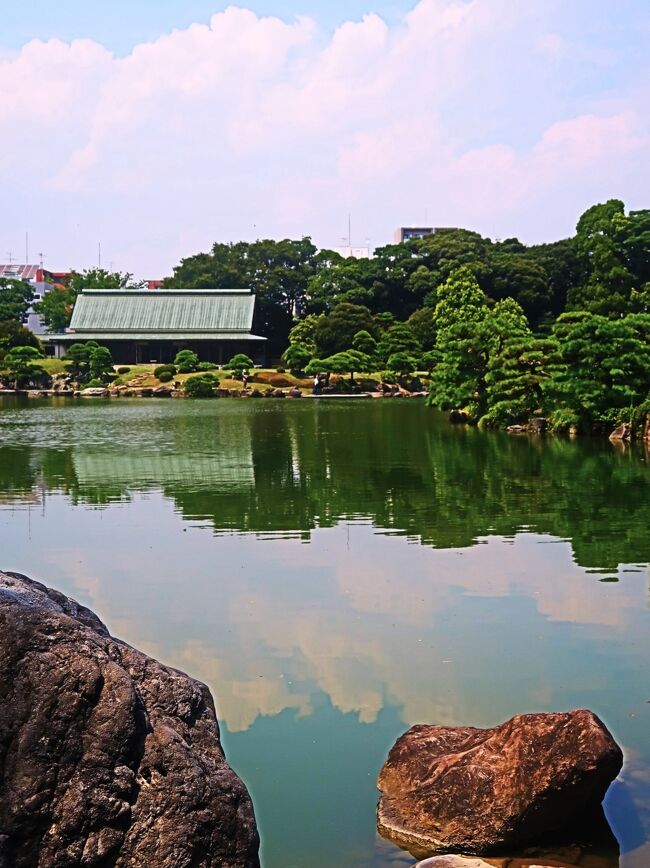 <br />清澄庭園（きよすみていえん）は、東京都江東区清澄にある都立庭園。池の周囲に築山や名石を配置した回遊式林泉庭園で、東京都指定名勝に指定されている。<br /><br />この地には元禄期の豪商・紀伊國屋文左衛門の屋敷があったと伝えられる。1878年（明治11年）、荒廃していた邸地を三菱財閥創業者の岩崎弥太郎が買い取り、三菱社員の慰安と賓客接待を目的とした庭園の造成に着手。1880年（明治13年）に竣工し、深川親睦園と命名された。三菱社長の座を継いだ岩崎弥之助は庭園の泉水に隅田川の水を引き込むなど大きく手を加え、1891年（明治24年）に回遊式築山林泉庭園としての完成を見た。<br />大正12年に発生した関東大震災で庭園は大きな被害を受けて邸宅も焼失した。それを受けて1924年、三菱3代目社長の岩崎久弥は当時の東京市に庭園の東半分を公園用地として寄贈。市は大正記念館の移築（1929年5月竣工）や深川図書館の新館舎建設（同年6月竣工）など整備を進め、1932年（昭和7年）7月24日に清澄庭園として開園した。<br />1973年（昭和48年）に東京都は残る西半分の敷地を購入。翌年から整備を開始し、1977年（昭和52年）に開放公園（清澄公園）として追加開園した。<br /><br />中島を持つ広い池が中心にあり、ツツジとサツキの植えられた「つつじ山」や池の端を歩けるように石を配置した「磯渡り」などがある。また、園内には岩崎家が全国から集めたという名石が無数に置かれている。池には人に慣れた多数のカメがおり、餌をやることができる。<br /><br />大正記念館・・大正天皇の葬儀のため新宿御苑にて用いられた葬場殿を移築した。葬儀に用いられたといっても、葬儀に向かう待合い室として使われた建物である。平成に入ってから、大幅な改修工事がされ、基本的に当時の建材は全て新しいものと取り換えられている。現在は、集会施設として利用可能。<br />涼亭・・1909年（明治42年）に建てられた数寄屋造りの建物。東京都選定歴史的建造物に選定されている。集会施設として利用可能。<br />（フリー百科事典『ウィキペディア（Wikipedia）』より引用）<br /><br />清澄庭園　については・・<br />https://www.tokyo-park.or.jp/park/format/index033.html<br />