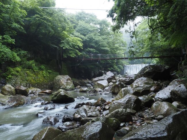 宮ノ下温泉の堂ヶ島遊歩道を、朝に散策する予定でしたが、前の晩ひどい雨でした。<br />エクシブの反対側辺りの遊歩道は、結構道が険しいので、危険を感じて諦めました。<br />「遊歩道」と言いますが、散歩レベルでははなく、トレッキングです。<br /><br />そこで、堂ヶ島遊歩道の一部、早川の吊橋だけを見て戻ることにしました。<br />吊橋からは、東電が作った人工の滝も見られます。<br /><br />時間が少し余ったので、太閤岩風呂通りを歩き（ここは平坦なコンクリ整備された遊歩道です）、太閤の湯と滝を見て、ホテルに戻りました。<br /><br />この朝散歩の動画です。<br />木賀温泉の、堂ヶ島遊歩道入口から早川の吊橋までの道のりは、ほぼノーカットです。<br />https://youtu.be/WYV6cAONaKk