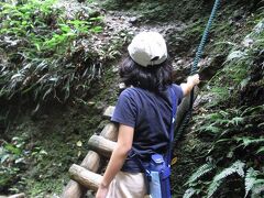 高知県・馬路村と伊尾木洞の旅　パート３