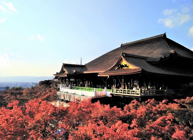 2017年秋、数十年ぶりの京都訪問で<br />古都の魅力を再認識。<br /><br />コロナ禍が若干、収まっていた2020年<br />11月、久々に行くことができました。<br /><br />京都情報を検索していた際、たまたま京都の<br />観光地人気ナンバー1は清水寺、第2位は<br />嵐山とのランキングに遭遇。<br /><br />ほほー。そうでしたか…。数少ない過去の<br />京都旅行では、いつも嵐山ファースト<br />だったワタクシめ。<br /><br />あらためて、修学旅行の自由行動で清水寺に<br />行きそびれた件を突き付けられました(笑)。<br /><br />というワケで、長年の懸案を解決すべく、<br />やっと本腰で取り組んだ旅となりました。