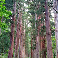 2022年夏　戸隠神社五社と善光寺参拝