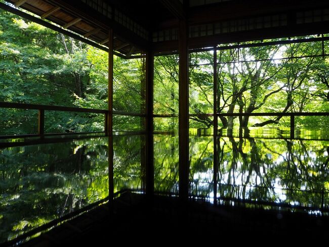 どこかにマイルを利用して1泊2日で京都へ行ってきました。<br /><br />久しぶりの京都。行きたい所は色々あったけど、時間も限られているので、今まで行ったことのない所や季節限定の特別拝観を行っている寺社を選び参拝しました。1日目は涼を求めて瑠璃光院と高台寺の夜間特別拝観へ。（暑いことには変わりなかったけど…笑）<br /><br />感染者が増えている時期で、対策として食事はテイクアウトで済ませたけれど、行きたかった所に行けて大満足♪の京都旅1日目の記録です。<br /><br />よろしければご覧ください～！