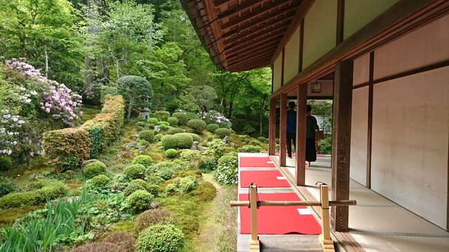 今回は京都の大原三千院と鞍馬へ日帰りで赴いた。大原は京都市ということだったが、京都とは思えるほど山の中。正直驚いた。三千院では客殿の軒から整備された庭園を洋館をつまみながら抹茶を飲むことができる。お金はかかるがおの雰囲気を味わうという意味ではとてもおすすめだ。<br /><br />三千院のあとに訪れたのは鞍馬寺と貴船神社。両社は三千院と同じ方向なので、両者をセットに行くのはおすすめだ。