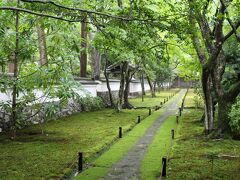 雨降る苔寺、鈴虫寺へ