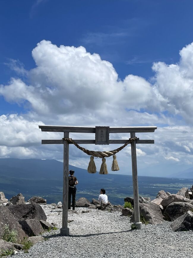 猛暑の首都圏を脱出。<br />ビーナスライン、車山高原に<br />行ってまいりました。<br />日帰りでトレッキングにも挑戦。<br />といっても<br />リフトで頂上まで行ける<br />楽しい車山です。