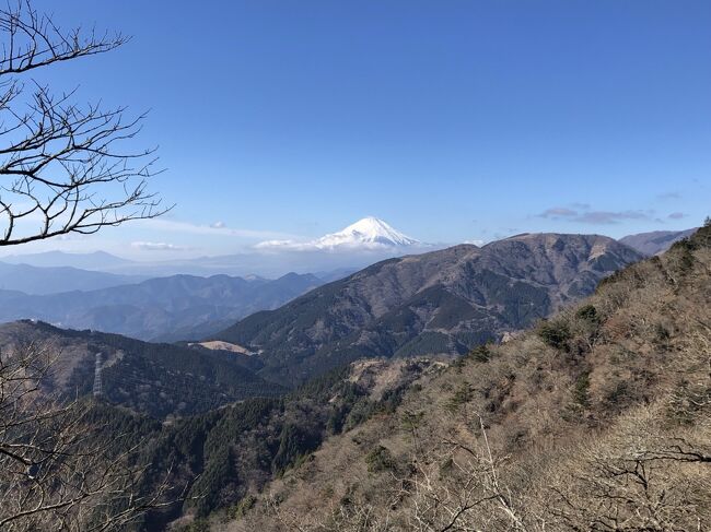 神奈川を去ることが決まっていたので、2022年明けは最後の神奈川巡りをしていました。