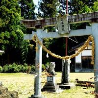 飯田線　秘境駅でお花見の旅　♯３