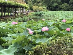 真夏の小田原を歩く