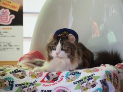 推し活！芦ノ牧温泉駅のねこスタッフと写真が撮れるフォトセッションに参加してきました