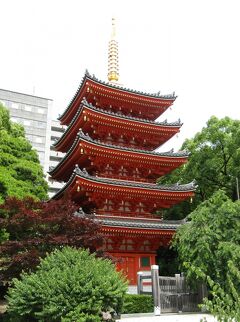 国東半島の社寺と仏像を巡る旅 2022・№７（ 続・福岡市内散策 ）