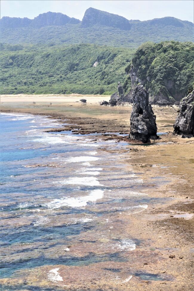 ２０２２夏旅！真夏の沖縄へ その⑦世界遺産『やんばるの森』!