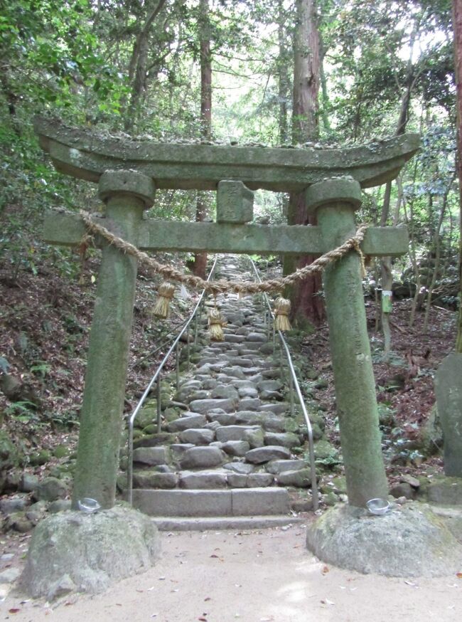 ＊写真は熊野磨崖仏への参道<br />４日目も国東半島の寺社を巡り宇佐神宮へ向います。<br /><br />【旅行スケジュール】<br />１日目：〔札幌 ⇒ 福岡〕→ 大宰府 → 日田（泊）<br />２日目：日田 → 臼杵 → 別府（泊）<br />３日目：別府 → 国東半島 → 富貴寺（泊）<br />４日目：国東半島 → 宇佐神宮 → 宇佐（泊）<br />５日目：宇佐 → 中津 → 福岡（泊）<br />６日目：福岡市内〔福岡 ⇒ 札幌〕<br /><br />〔4日目の行程〕<br />蕗薹（富貴寺）→ 熊野磨崖仏 → 胎蔵寺 → 鍋山磨崖仏 → 鍋山耶馬 → 真木大堂 → 古代文化公園 → 極楽寺 → 蔵人 → 元宮磨崖仏 → 田染荘 → 嶺崎豊?碑 → 26号ＳＬ → 山頭火句碑 → 宮本武蔵の碑 → 宇佐神宮と境内社→ かくまさ → 宇佐ホテル・リバーサイド【泊】