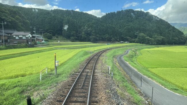 　赤字路線として公表された因美線。鳥取と岡山を結ぶ路線ですが、智頭急行ができて鳥取岡山を結ぶ優等列車はそちらにもっていかれました。特に智頭～東津山間は1日100人台とのことで廃線の文字も頭をよぎりますが、乗客者数に貢献すべく乗ってきました。<br />　夏だったので青春18きっぷで回っている人も多く、また通勤通学の方も乗っていてガラガラという感じではありませんでした。この路線、地形に沿ってレールが敷かれていて、とにかくカーブが多く徐行運転も多かったです。大きく左右にカーブする線路や木々の間を抜けて走っていく感じは、素朴なローカル線の雰囲気が味わえ飽きることはありませんでした。<br />　津山ではまなびの鉄道博物館に行き、転車台を前に並んだディーゼル列車やSLを見ることができました。<br />廃線存続は難しい問題ですが、観光資源としての価値も見出しながら長く続いてほしいと思いました。