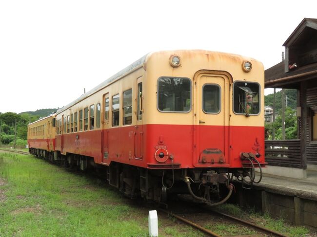 2022気になる列車を見に行こう！キハにゆられて北海道！vol.3（小湊鉄道キハ２００形編）