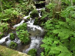 新緑の青森県を旅行(６)　 奥入瀬渓流－「石ケ戸」から「雲井の流れ」までの4.6kmー をトレッキング