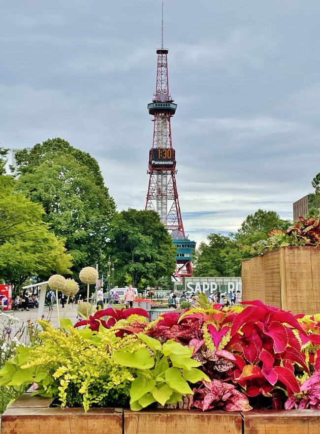 函館旅行以来2度目の国内一人旅をすることにしました。美味しい海鮮やスイーツを堪能すべく行き先は今回も北海道、札幌に決定。バラやアジサイなど沢山の花々に彩られた街で、グルメと観光、大いに堪能しました(*^^*)<br /><br />主な日程はこちら↓<br />7/13(水)関空⇒千歳空港⇒札幌 大通公園～知事公館～サッポロファクトリー～<br />　　　　 夜景散策～センチュリーロイヤルホテル泊<br />7/14(木)札幌市資料館＆バラ庭園～北海道神宮～大通公園～中島公園～<br />　　　　 札幌市役所屋上展望台～センチュリーロイヤルホテル泊<br />7/15(金)札幌⇒千歳空港⇒伊丹