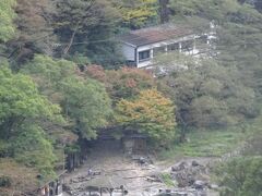 2023年10月岡山(2)湯原温泉(オオサンショウウオ 湯原湖 砂湯 薬師堂 千屋牛) 勝山(出雲街 備中鍾乳穴 北房コスモス園