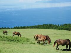 2022年夏休み/小学1年生連れ宮崎旅行①南郷-都井岬