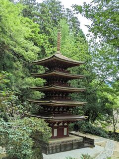 室生寺・海住山寺　国宝五重塔めぐり