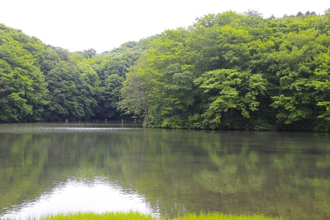 裏磐梯キャンプ旅行最終日。本当は檜原湖周辺を散策したかったのですが、天気はあいにくの下り坂。近場の沼をちゃっちゃっと回って帰ることにしました。<br />が、途中、福島県南部に差し掛かった頃天気が回復。念願の塩屋崎灯台に立ち寄ろうとしましたが、がが~ん!・・・