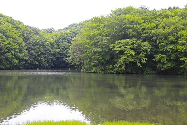 (5)またまた裏磐梯へ行ってきました。曲沢沼、れんげ沼、おまけの塩屋崎灯台編