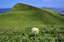 稚内港からハートランドフェリーサイプリア宗谷で礼文島初上陸して高山植物を観察