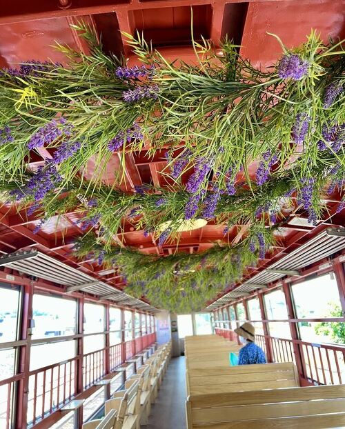 2005　ふらの・びえいノロッコ号の旅〜夏の思い出 2005 ふらの・びえいノロッコ号の旅〜夏の思い出 富良野美瑛