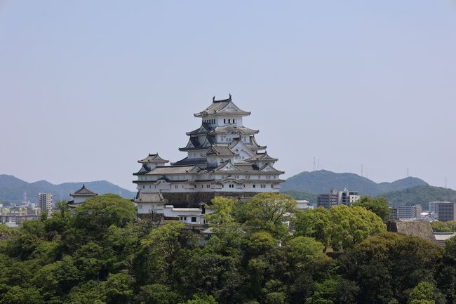 姫路城と好古園へ行きました。