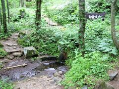 利尻富士温泉田中屋ひなげし館に宿泊して利尻山3合目にある甘露泉水を飲んで若返る