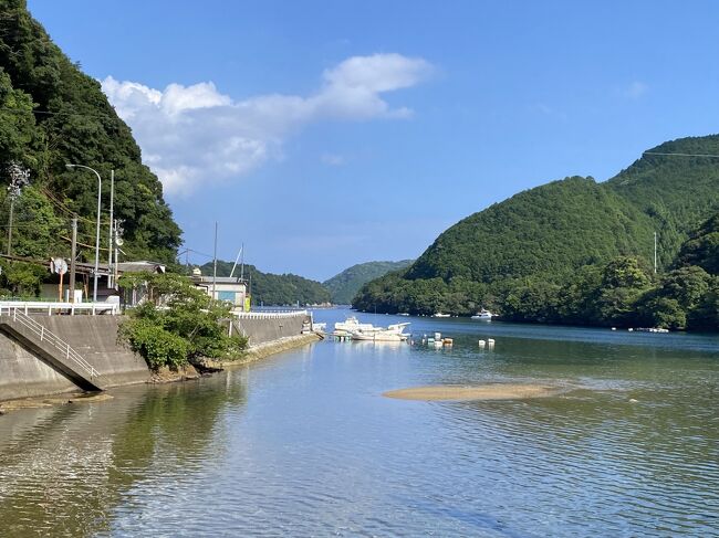 一度、熊野３社・熊野古道含めた南紀に行ってみたいと思っていましたが、富山から行くには、どう考えても不便でずっと躊躇していました。<br />今回、三重県割も使えるしということで、行くことに。<br />遠いけど、車でいくのがベストと判断し、計１４５０Kmの走行で行ってきました。<br />遠いのですが、自動車道が、紀伊半島の先端の方まで通っていて、全体的にはスムーズな移動はできたと思います。<br /><br />１日目　鬼ヶ城、凪のあすから聖地など<br />２日目　七里御浜、熊野速玉大社、那智の滝、橋杭岩、本州最南端など<br />　　　　熊野那智大社に行き忘れたことに気づく。。。（笑）<br />３日目　丸山千枚田、瀞峡、玉置神社、熊野本宮大社、白浜など<br />４日目　京都　竹林の小径、圓徳院（高台寺）、郡上八幡<br /><br /><br />当初、松本峠や大門坂を含めた熊野古道を歩くつもりでしたが、時間がなく諦めました。<br />twitterなどの情報を見ていて、メジャーではない場所に寄ってしまいました。ｗ<br />南紀の緩い感じがとても気にいりました。<br /><br />食事の写真がほぼ無い点ご了解ください。<br />時間がなく簡易に済ませたこと、魚など苦手なものが多いこと、ダイエットを気にしていて。。。（それでも旅行中太ったかｗ）<br /><br />