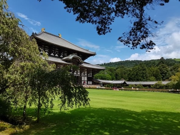 三重県伊賀市から大阪に帰る途中に奈良市内を観光。 <br /> 寄り道せずに帰宅するつもりでしたが天気が良く時間も許されたこともあり、名阪国道一本松ICを下りて福住町から峠道を超えて奈良市内へ。車1台の道路幅で別の車とすれ違わないように祈りながら運転。<br /> 奈良公園と東大寺を目的に小学校5年生の時の修学旅行依頼46年ぶりに訪問。奈良の大仏様は小学校時よりも少し小さく感じましたが、東大寺大仏殿は2回目でも見応えあり。<br /> 奈良公園も鹿が人懐こく、鹿せんべいを持っている人に群がっていたので楽しいです。しかし角が大きい牡鹿はやはり少し怖いですね。2,3時間ぶらぶらしてから帰路につきました。<br />