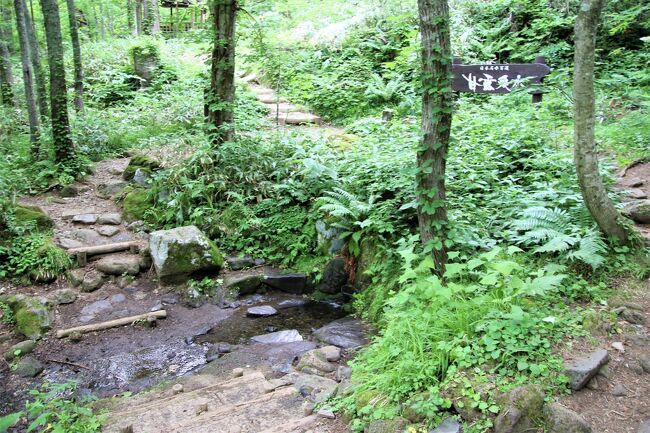 利尻富士温泉田中屋ひなげし館に宿泊して利尻山3合目にある甘露泉水を飲んで若返る