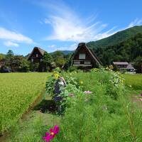 いにしえ＆アニメの日本を辿る旅。初★高山、白川郷、土岐への家族旅。