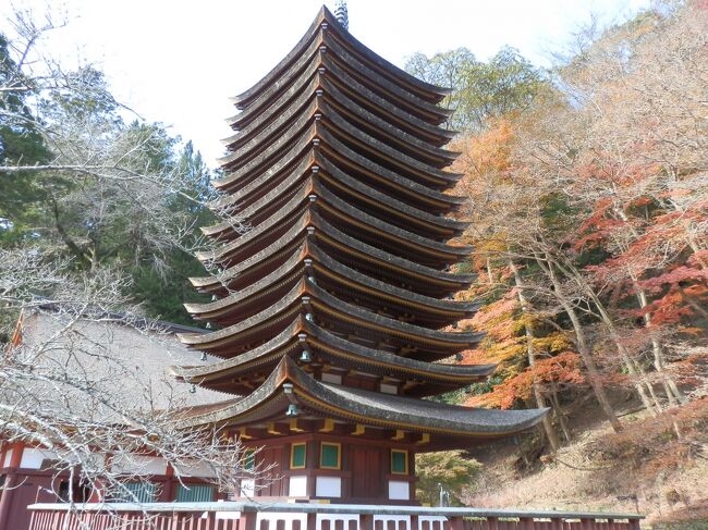 談山(たんざん)神社の御祭神は藤原鎌足公である。飛鳥・法興寺で行われた蹴鞠会(けまりえ)において出会った中大兄皇子 (後の天智天皇)と中臣鎌子(後の藤原鎌足)が、藤の花の盛りの頃、当社本殿裏山で極秘の談合をされた。この談合は超極秘談合と言っても過言ではない。日本史を転換する、あまりにも有名な談合で、ほとんどの日本人が知っている談合である。 倉橋山の峰の談合により、皇極天皇4年(645)飛鳥板蓋宮で蘇我入鹿を討ち、中央統一国家及び文治政治の完成という歴史的偉業を成し遂げられた。 多武峰(とうのみね)はこの後、談峯・談い山・談所が森と呼ばれるようになり「大化改新設合の地」の伝承が残った。現在の社号の「談山神社」はここから来ています。 談山神社へは今回が三回めです。二回は桜の時期です。吉野千本桜と合わせて来ました。桜の時期の談山神社も格別です。