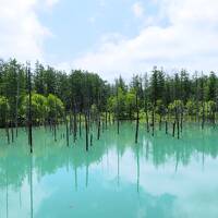 家族で北海道旅行2022夏〈３〉青い池と洞爺サンパレス リゾート＆スパ