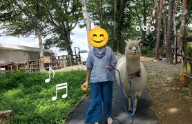 みたび　晩夏の「かつら木の郷」　いいネ！「光ミュージアム」　そして…うふふ