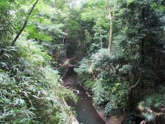 東京のオアシス・等々力渓谷と浅草グルメ