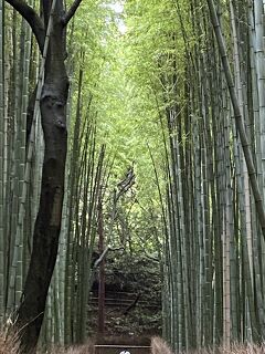 時間つぶしに京都ちょっと散策