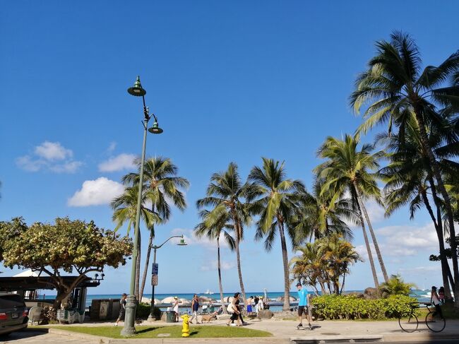 2022年8月に3年ぶりの海外旅行でハワイに行ってきました。<br />コロナ禍で不安もあるなか出発しましたが、<br />すっごく楽しかった!<br />オアフ島を満喫できた30回目のハワイとなりました パチパチ<br /><br />航空券はJAL で往路プレエコ(入札アップグレード)復路エコノミー<br />当初地元の関空から出発の予定が予約便が運休となったので<br />羽田経由の便を取り直し、4泊から6泊へ日程も変更<br /><br />アコモはアストンワイキキバニアンのDXオーシャン HISで予約<br />レンタカー ダラー HISで予約、空港から借りました<br />出発までの情報収集は、<br />いまはガイドブックも発行されていないので、主にYouTubeでした。<br /><br />8/1からHISでホテルを予約するとコロナに罹った場合、<br />ホテル手配等のお手伝いをしてくれるサービスが始まりました。<br />このお陰で「もしも」の時の心配が少し減りました。<br />チェックイン後にはホテルに電話もあったりサービス厚かったです。<br />念のために出発前にPCR検査を受け、抗原検査キットも持参し、<br />コロナ対策もばっちりで渡航しました。