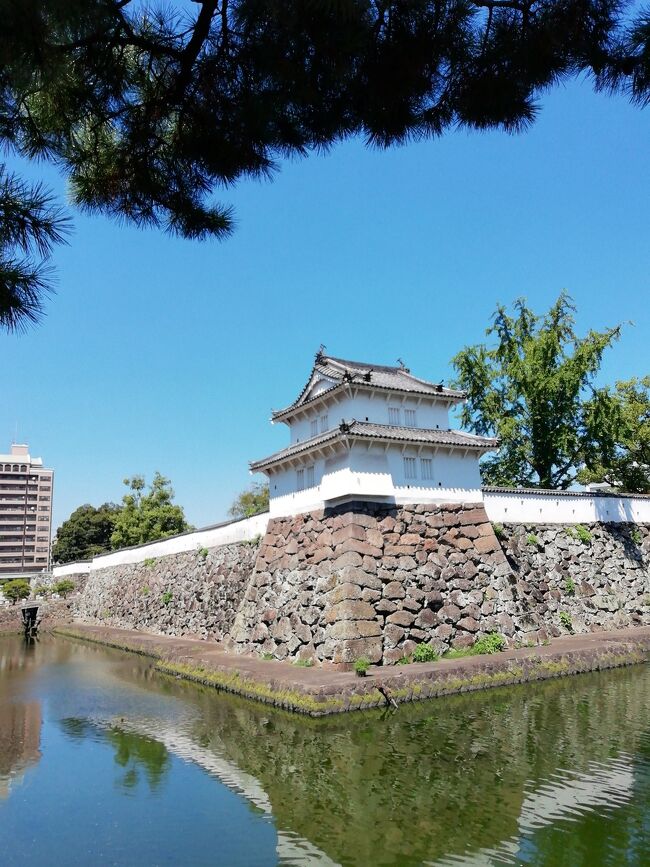 8月末に日帰りでJR九州の観光列車に乗りに行きました。<br />行程は次の通りで、旅行記は4冊あります。<br /><br />長崎→鳥栖→(ゆふいんの森号)→大分→豊後竹田→(あそぼーい！）→熊本→新鳥栖→長崎<br /><br />その2は大分駅周辺を観光した記録です。<br />表紙画像は府内城跡です。