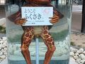 神河・姫路北部（塩田）の旅行記