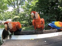 コパン遺跡公園