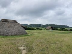 夏の壱岐④